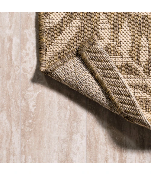 Nevis Palm Frond Brown/Beige 8 ft. x 10 ft. Indoor/Outdoor Area Rug