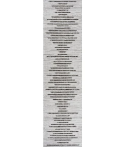 Jonathany Santa Monica SMB124D Ivory/Black Area Rug 2 ft. 2 in. X 10 ft. Runner