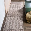 Jonathany Santa Monica SMB130A Beige/Brown Area Rug 2 ft. 2 in. X 10 ft. Runner