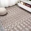 Jonathany Santa Monica SMB130A Beige/Brown Area Rug 3 ft. 11 in. X 6 ft. Rectangle