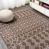 Jonathany Santa Monica SMB130B Brown/Beige Area Rug 5 ft. 2 in. X 7 ft. 5 in. Rectangle