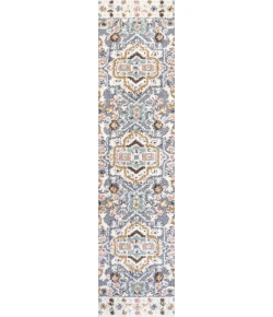 Jonathany Santa Theresa SNT109A Multi Area Rug 2 ft. 2 in. X 8 ft. Runner