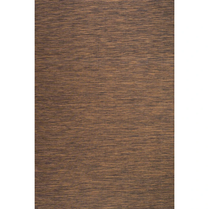 Ethan Modern Flatweave Solid Brown 8 ft. x 10 ft. Indoor/Outdoor Area Rug