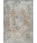 Armae Distressed Medallion Chenille Machine-Washable Terra/Blue 5 ft. x 8 ft. Area Rug