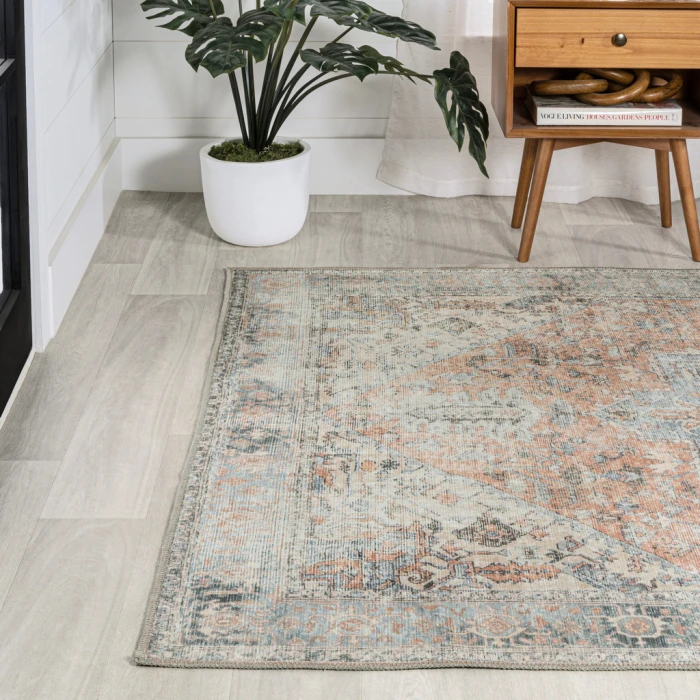 Armae Distressed Medallion Chenille Machine-Washable Terra/Blue 5 ft. x 8 ft. Area Rug