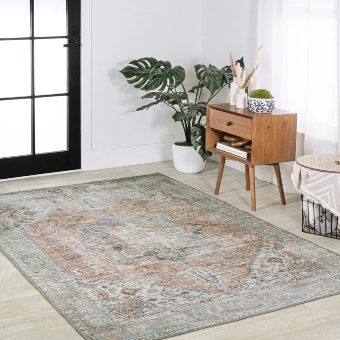 Armae Distressed Medallion Chenille Machine-Washable Terra/Blue 5 ft. x 8 ft. Area Rug