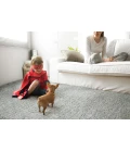 Kaleen Cotton Bloom CTB01-75 Area Rug