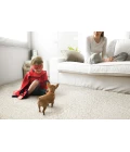 Kaleen Cotton Bloom CTB01-76 Area Rug