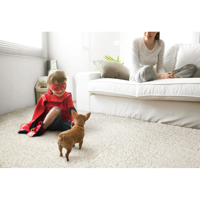 Kaleen Cotton Bloom CTB01-76 Area Rug