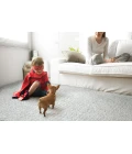 Kaleen Cotton Bloom CTB01-77 Area Rug