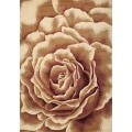 Kas Corinthian 5338 Ivory Floral Splendor Area Rug 2'2" x 7'11" Runner