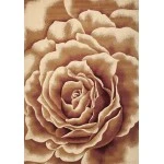 Kas Corinthian Cor5338 Area Rug 2 ft. 3 in. x 3 ft. 3 in. Rectangle