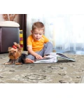 Kas Lucia 2752 Beige/Grey Verona Area Rug 7'7" x 10'10"