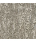 Kas Serenity 1256 Sand Tempo Area Rug 3'3" x5'3"