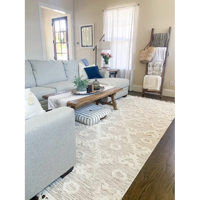 Kas Willow 1103 Ivory Beige Boho Area Rug 3'3" x 4'11"