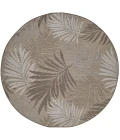 Kas Provo 5787 Natural Palms Area Rug