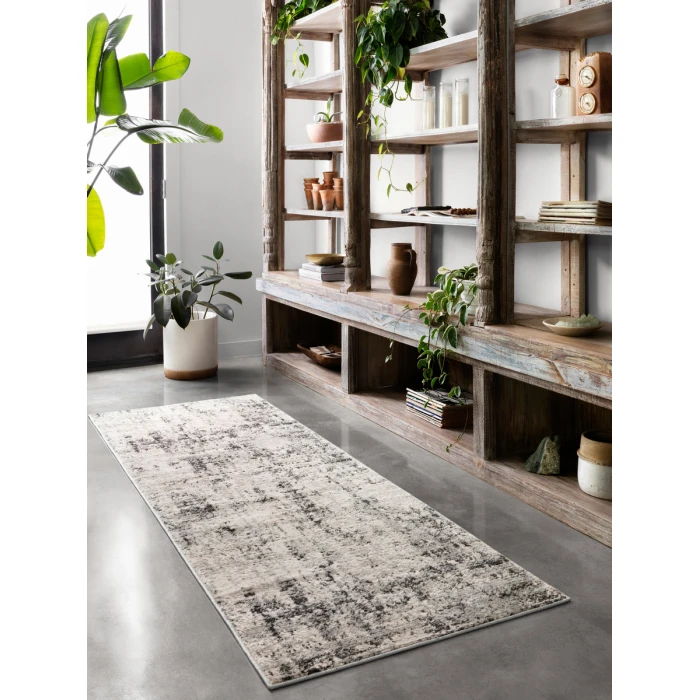 Loloi II Alchemy ALC-04  Area Rug