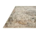 Loloi Axel AXE-04  Area Rug