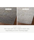 Jean Stoffer x Loloi Bradbury Grey / Multi BRU-04 2 ft. 7 in. X 4 ft. Rectangle Rug