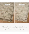 Loloi Briar Ivory / Multi BRR-04 3ft.-7in. X 7ft.-9in. Rect. Rug