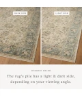 Loloi Briar Ant. Ivory / Blue BRR-05 3ft.-7in. X 7ft.-9in. Rect. Rug