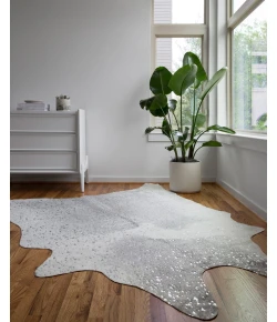 Loloi Bryce BZ-02 GREY / SILVER Area Rug 5 ft. X 6 ft. 6 in. Rectangle