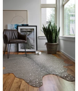 Loloi Bryce BZ-03 GRAPHITE / SILVER Area Rug 3 ft. 10 in. X 5 ft. Rectangle