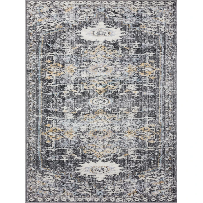 Loloi II Cassandra CSN-02  Area Rug