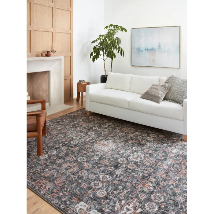 Loloi II Cassandra CSN-03  Area Rug
