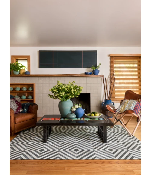 Loloi Dorado DB-03  Area Rug