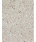 Loloi Dorado DB-04  Area Rug