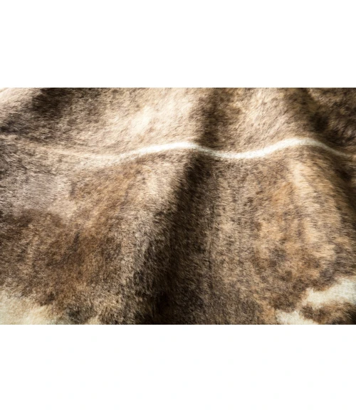 Loloi II Grand Canyon GC-01  Area Rug