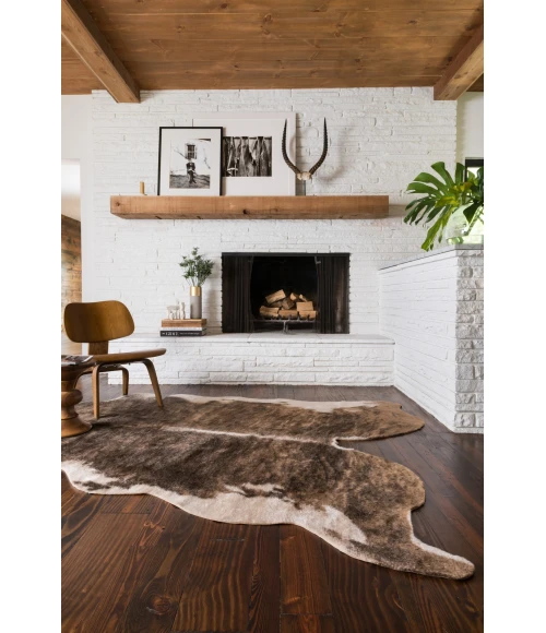 Loloi II Grand Canyon GC-01  Area Rug