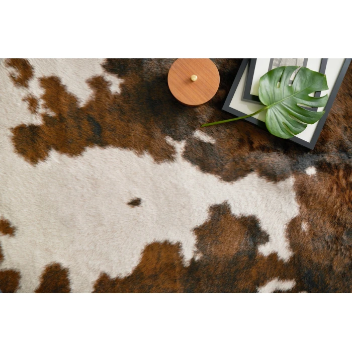 Loloi II Grand Canyon GC-05  Area Rug
