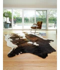 Loloi II Grand Canyon GC-05  Area Rug