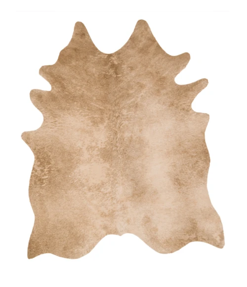 Loloi II Grand Canyon GC-09  Area Rug