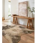 Loloi II Grand Canyon GC-13  Area Rug