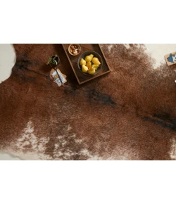 Loloi Grand Canyon GC-14 COFFEE / IVORY Area Rug 6 ft. 2 in. X 8 ft. Rectangle