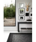 Loloi Hamilton HM-01  Area Rug