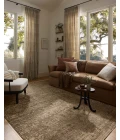 Loloi Haywood Sage / Sand HYD-01 3ft.-6in. X 5ft.-7in. Rect. Rug