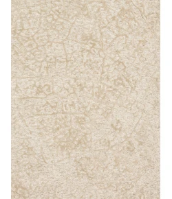 Loloi Juneau JY-03 ANT IVORY / BEIGE Area Rug 7 ft. 9 in. X 9 ft. 9 in. Rectangle