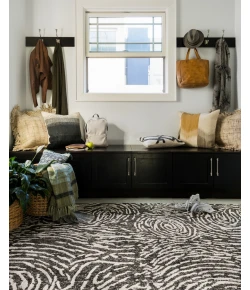 Loloi Juneau JY-04 black / SILVER Area Rug 5 ft. 0 in. X 7 ft. 6 in. Rectangle