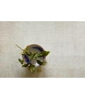 Loloi Lucid LD-01  Area Rug