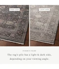 Loloi Lyra Ink / Multi 9'-3" x 13' Area Rug