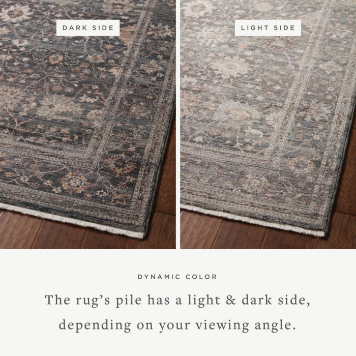 Loloi Lyra Ink / Multi 7'-10" x 10' Area Rug