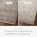 Loloi Lyra Pebble / Multi 2'-7" x 12'-0" Runner Rug