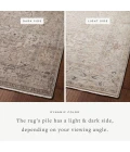 Loloi Lyra Natural / Gold 9'-3" x 13' Area Rug