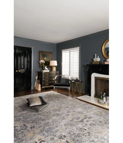 Loloi Mirage MK-01  Area Rug