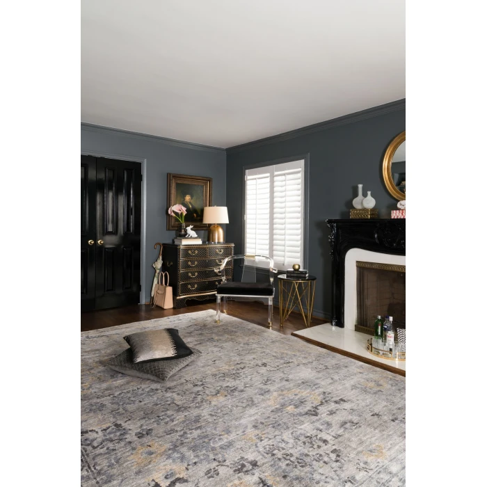 Loloi Mirage MK-01  Area Rug