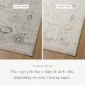 Loloi II Monroe Natural / Multi 9'-3" x 13' Area Rug